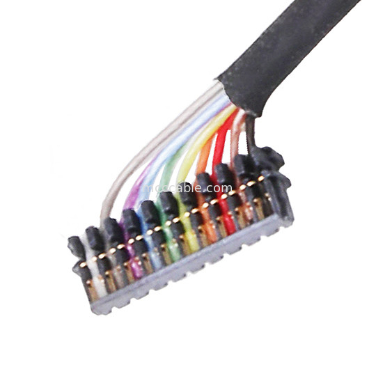 0,6 conectores co-axiais do conjunto de cabo micro JST do PASSO 04XSR-36KHF 06XSR-36KHF 10XSR-36KHF