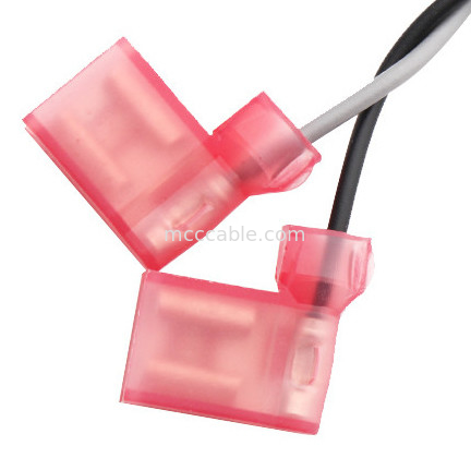 TE 2-520129-2 ao micro de Molex 0430250408 couberam o conjunto de cabo duplo do fio da fileira de 3,0 receptáculos