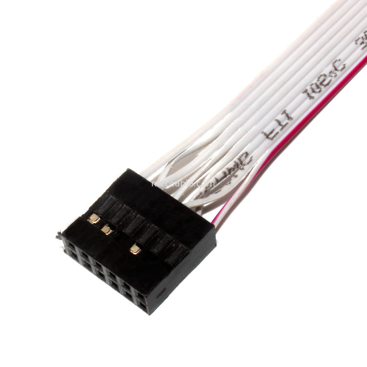 IDC 12 PIN Flat Flexible Ribbon Cable DF19 A JST RF para o cabo distribuidor de corrente de PCBA