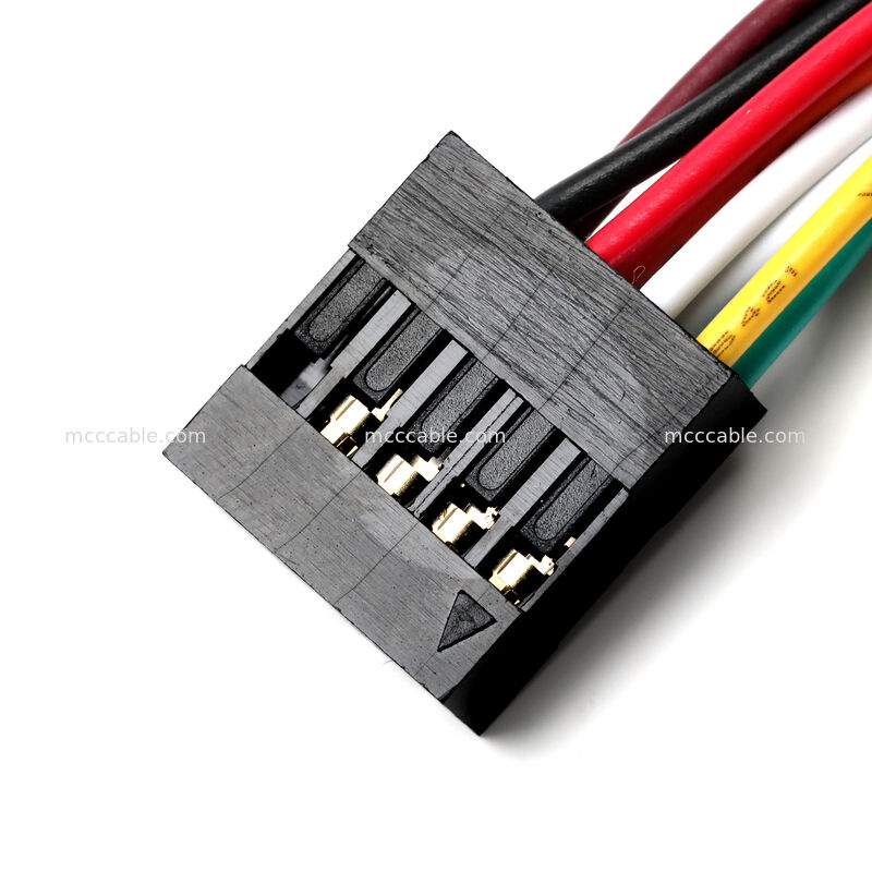 Conjunto de Cabo do Painel Frontal Molex 2,54mm de 10 Pinos para Aplicações OEM Personalizadas