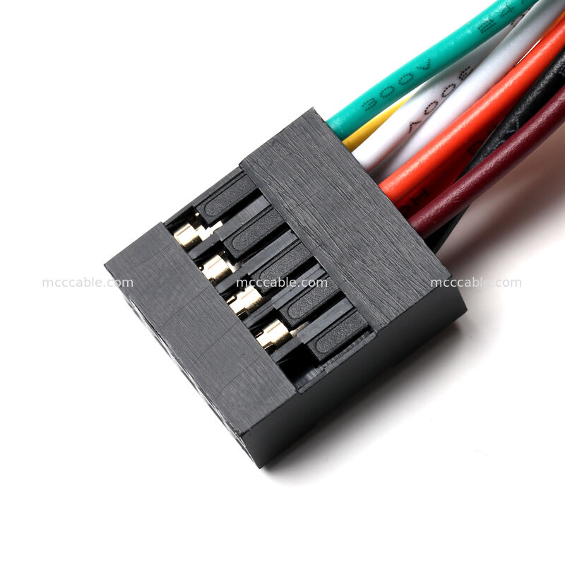 Conjunto de Cabo do Painel Frontal Molex 2,54mm de 10 Pinos para Aplicações OEM Personalizadas